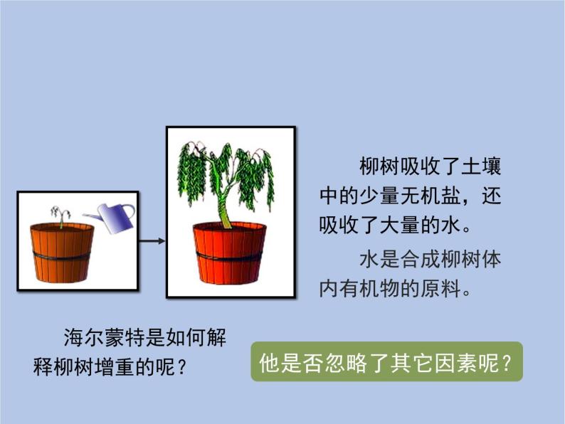 3.5.1《光合作用吸收二氧化碳释放氧气》课件104