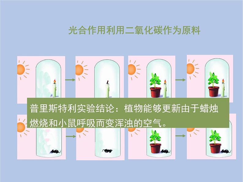 3.5.1《光合作用吸收二氧化碳释放氧气》课件106