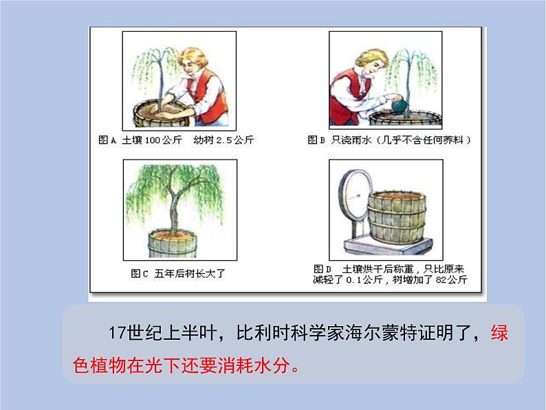 3.5.1《光合作用吸收二氧化碳释放氧气》课件05