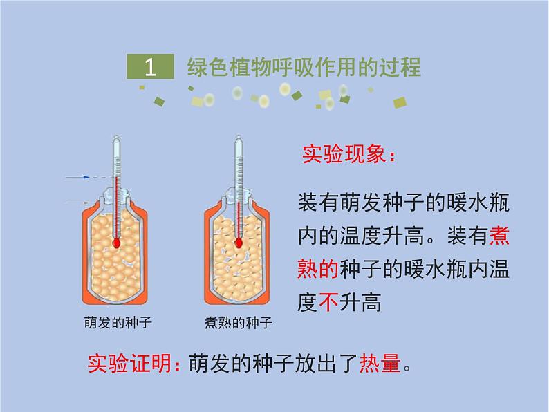 3.5.2《绿色植物的呼吸作用》课件05