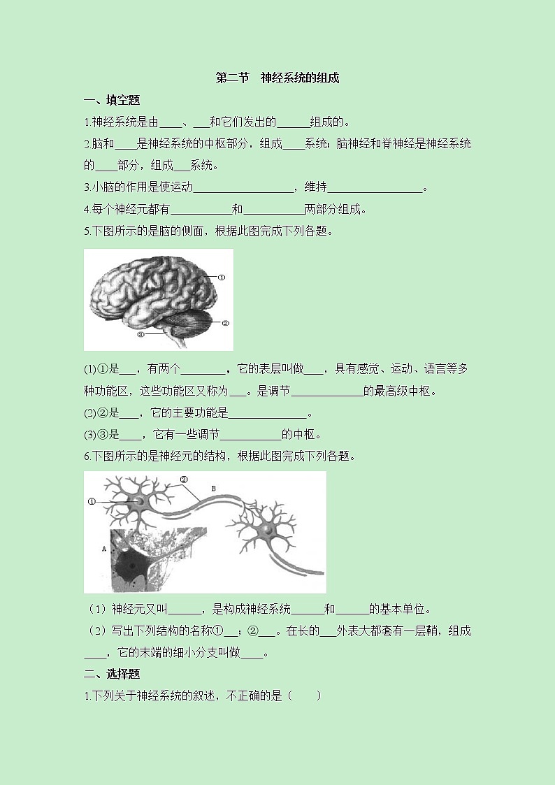 鲁科版（五四制）生物七下 《神经系统的组成》同步练习01