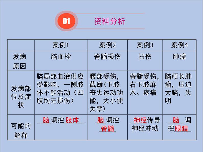 鲁科版（五四制）生物七下 4.6.2《神经系统的组成》课件1第2页