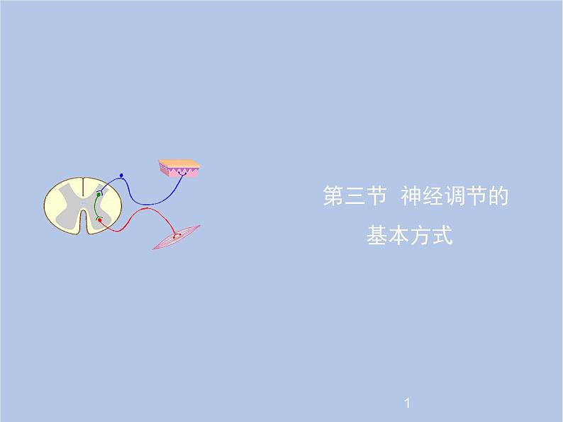 鲁科版（五四制）生物七下 4.6.3《神经调节的基本方式》课件1第1页