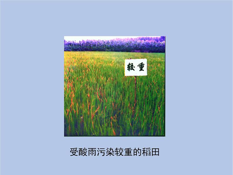 鲁科版（五四制）生物七下 4.7.2《探究环境污染对生物的影响》课件05