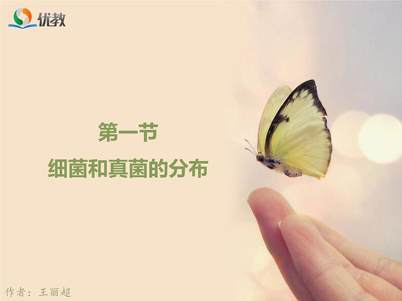 鲁科版（五四制）生物七下 6.1.1《细菌和真菌的分布》课件1第1页