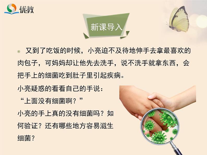 鲁科版（五四制）生物七下 6.1.1《细菌和真菌的分布》课件1第3页