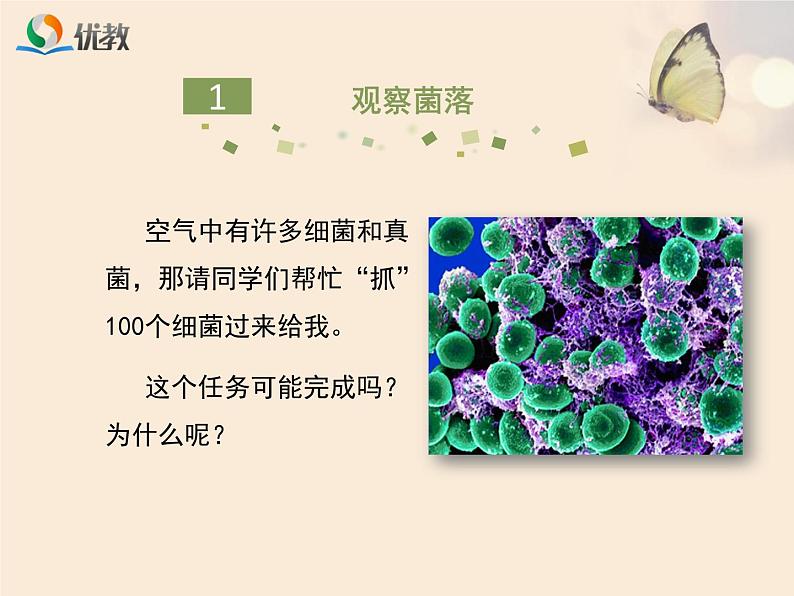 鲁科版（五四制）生物七下 6.1.1《细菌和真菌的分布》课件1第5页