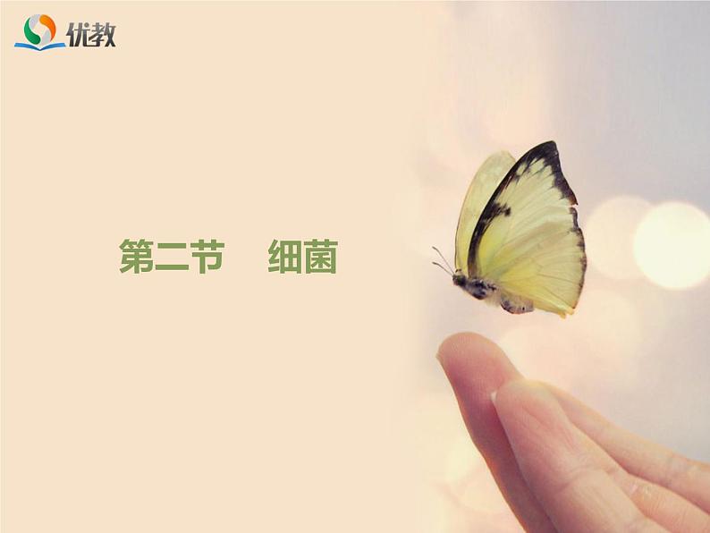 鲁科版（五四制）生物七下 6.1.2《细菌》课件1第1页