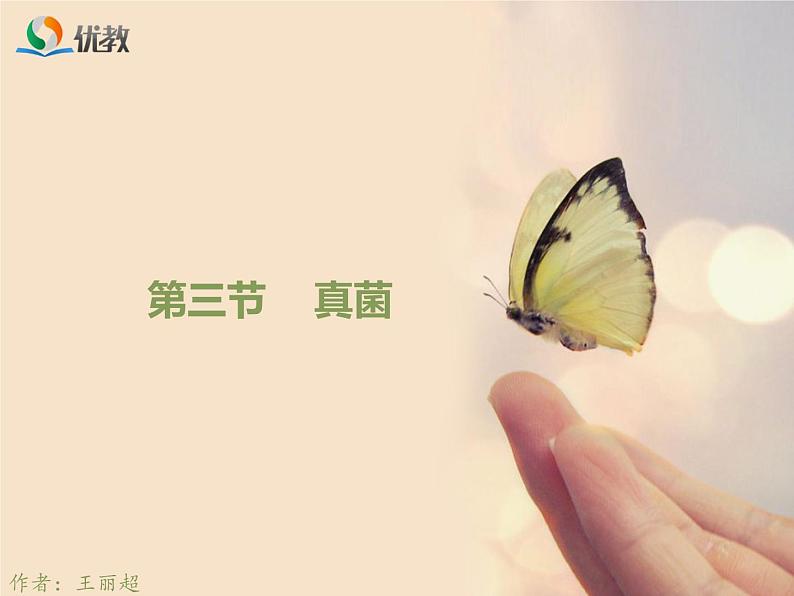 鲁科版（五四制）生物七下 6.1.3《真菌》课件第1页