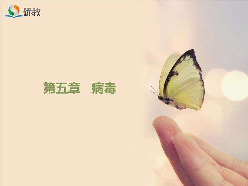 鲁科版（五四制）生物七下 6.2《病毒》课件01