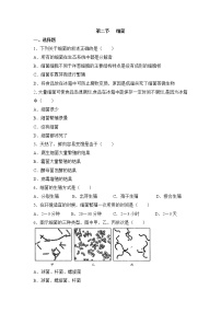 初中生物鲁科版 (五四制)七年级下册第二节 细菌精品巩固练习