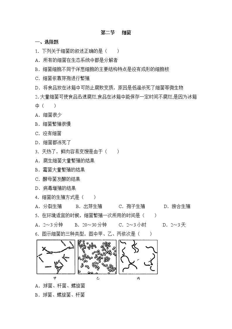 鲁科版（五四制）生物七下 《细菌》同步练习1第1页