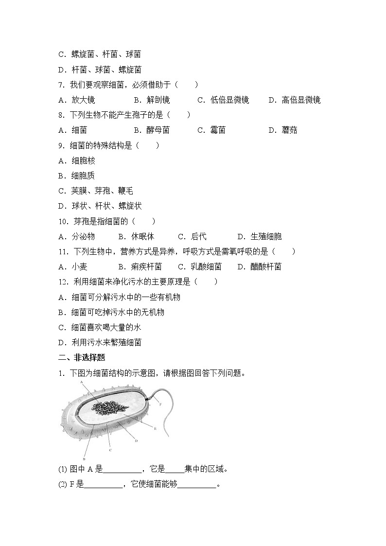 鲁科版（五四制）生物七下 《细菌》同步练习1第2页