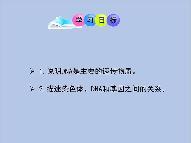 鲁科版（五四制）生物八下 8.2.1《遗传的物质基础》课件02