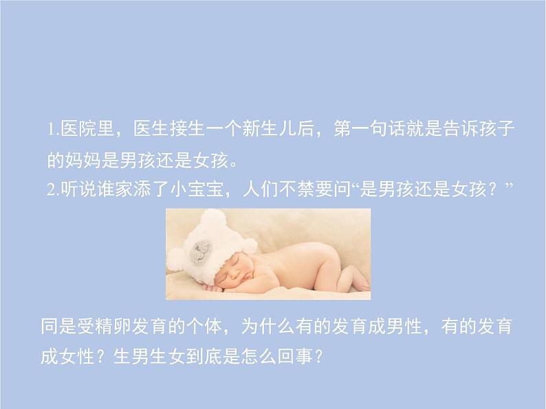 鲁科版（五四制）生物八下 8.2.4《人的性别遗传》课件03