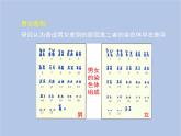 鲁科版（五四制）生物八下 8.2.4《人的性别遗传》课件