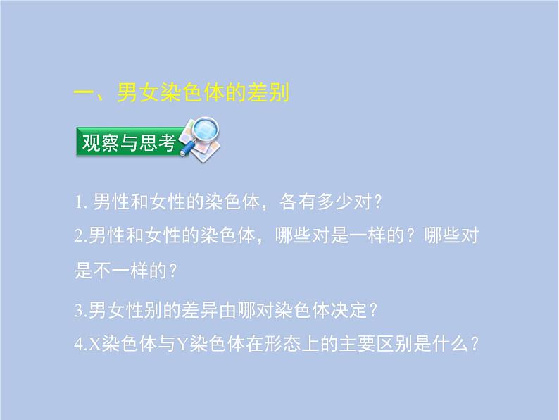 鲁科版（五四制）生物八下 8.2.4《人的性别遗传》课件05