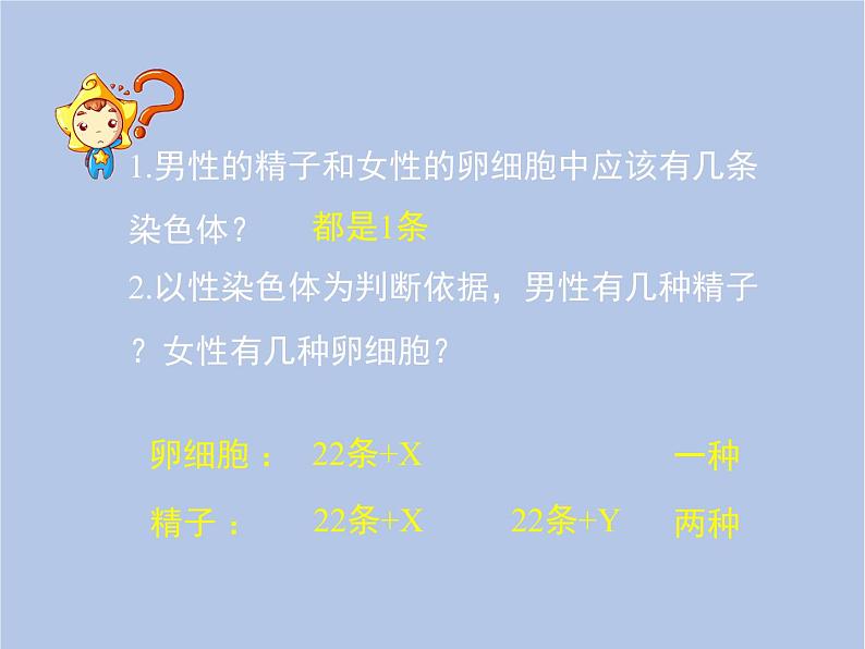 鲁科版（五四制）生物八下 8.2.4《人的性别遗传》课件08