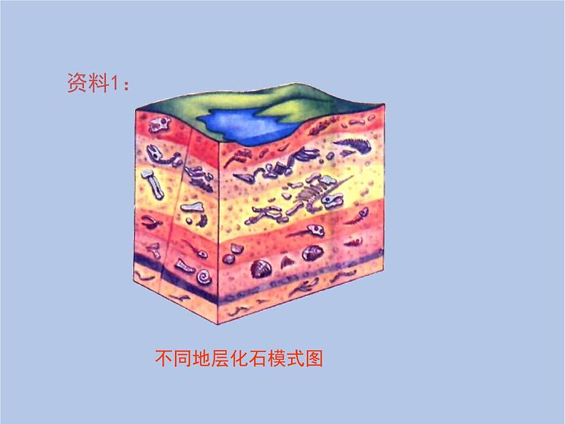 鲁科版（五四制）生物八下 8.3.2《生物进化的历程》课件第2页