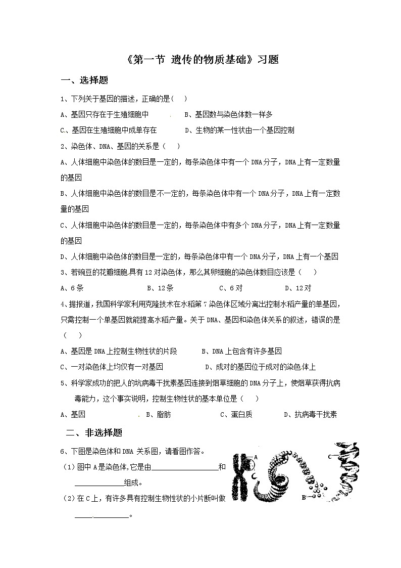 鲁科版（五四制）生物八下 第八单元第二章《第1节 遗传的物质基础》习题第1页