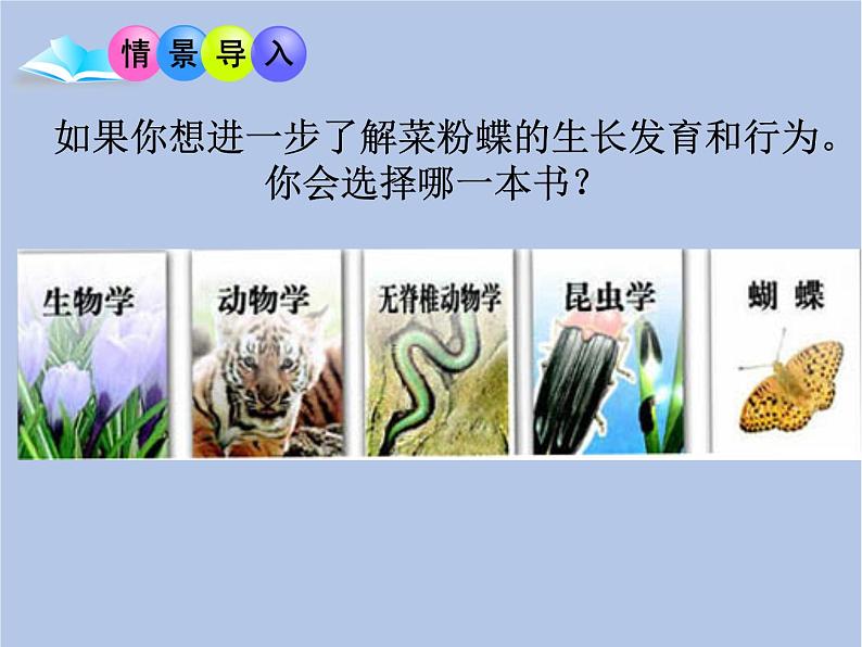 鲁科版（五四制）生物八下 9.1.1《尝试对生物进行分类》课件1第3页