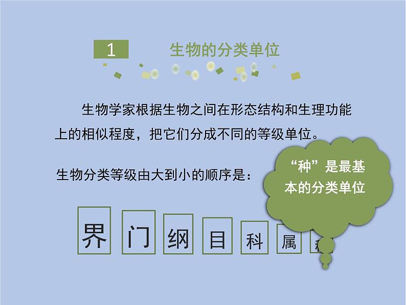 鲁科版（五四制）生物八下 9.1.2《从种到界》课件1第5页