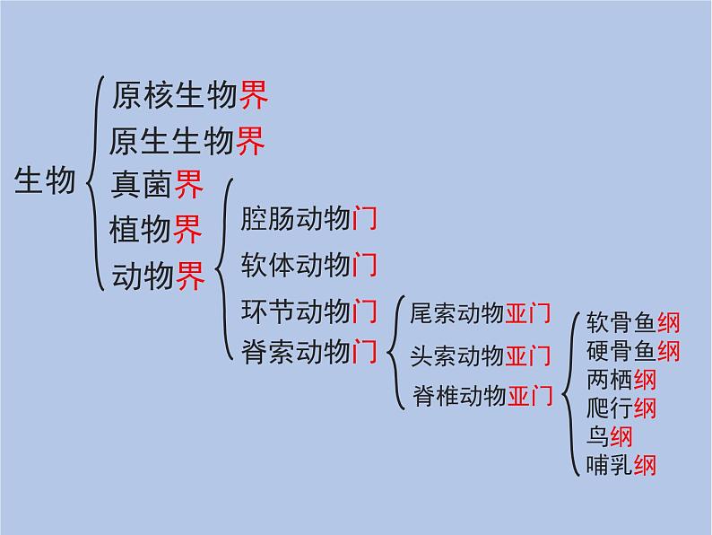 鲁科版（五四制）生物八下 9.1.2《从种到界》课件1第6页