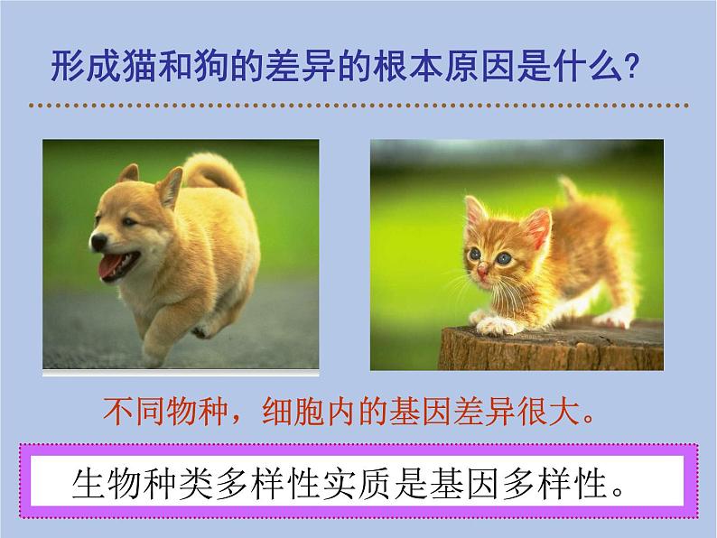鲁科版（五四制）生物八下 9.2.1《认识生物的多样性》课件07