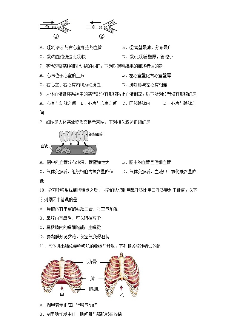 北京市朝阳区2020-2021学年七年级下学期期末生物试题（word版 含答案）第2页