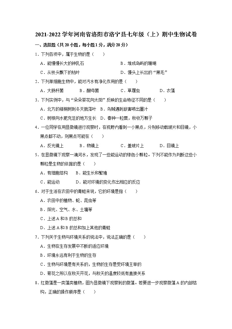 2021-2022学年河南省洛阳市洛宁县七年级上学期期中生物试题（word版 含答案）01
