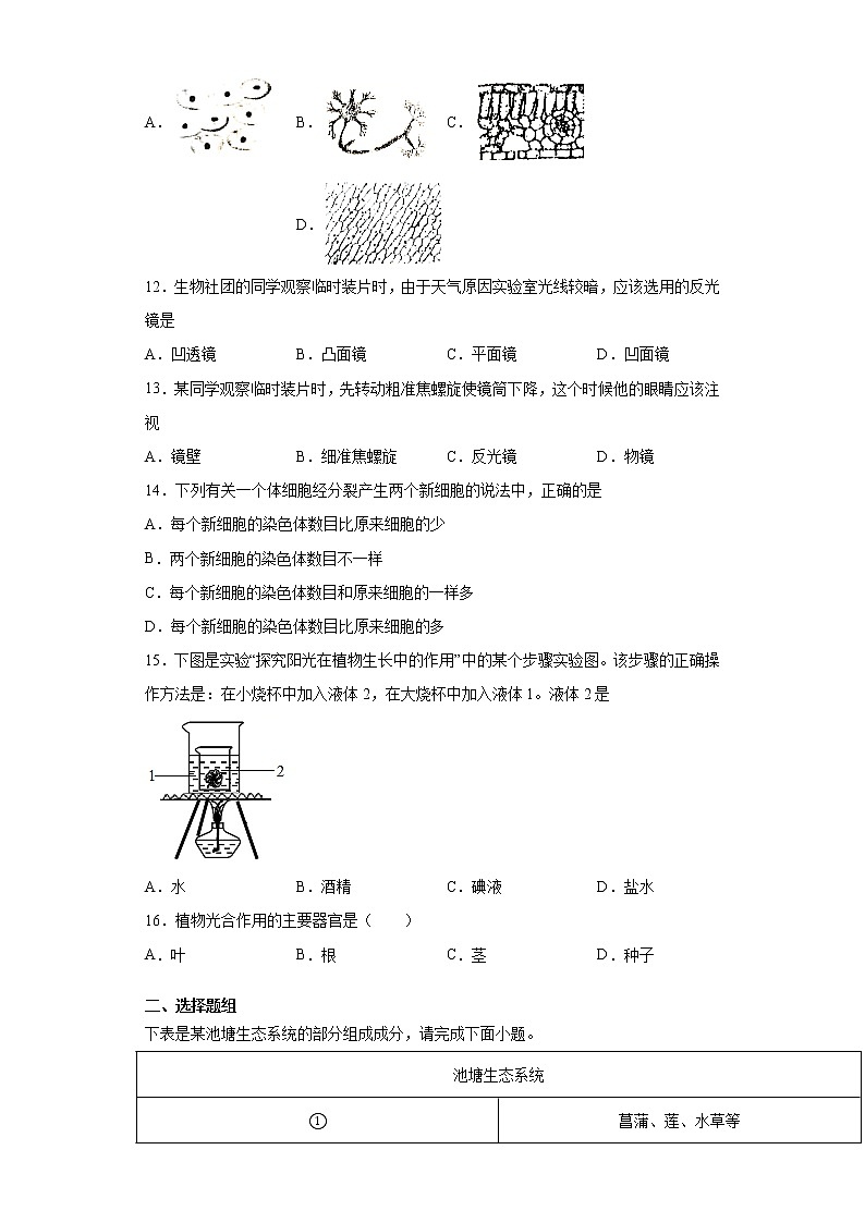 江苏省淮安市2020-2021学年七年级上学期期末生物试题（word版 含答案）03