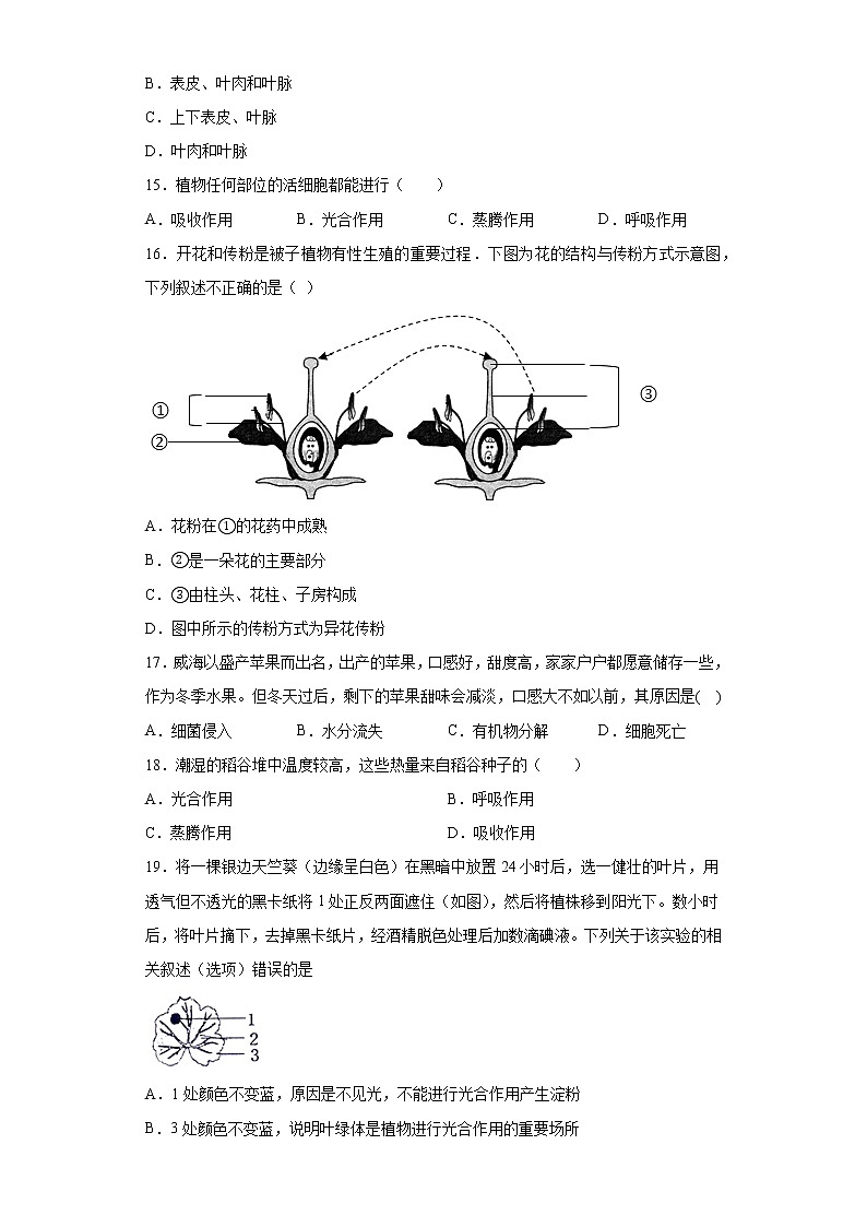 河北省唐山市滦州市2020-2021学年七年级上学期期末生物试题（word版 含答案）03