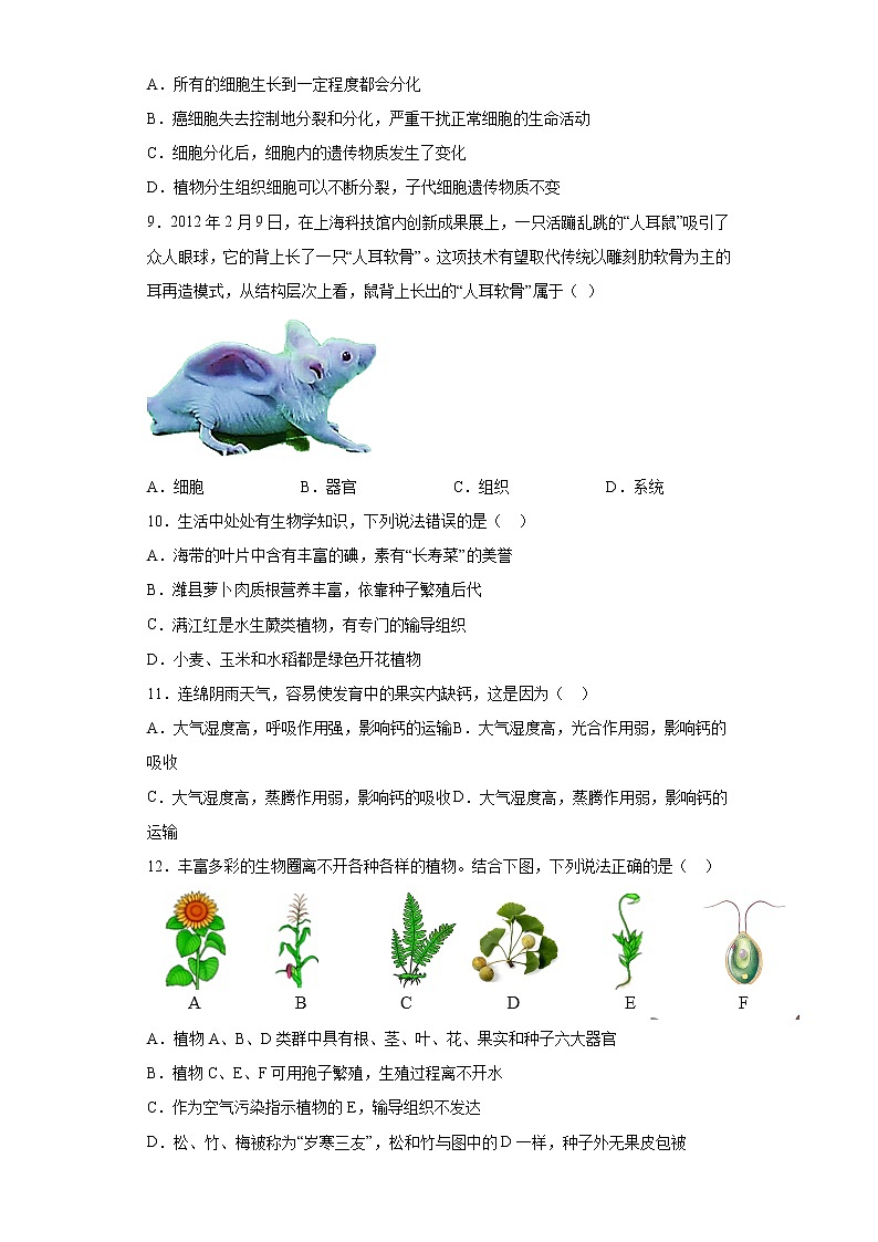 山东省潍坊市奎文区2021-2022学年七年级上学期期中生物试题（word版 含答案）03