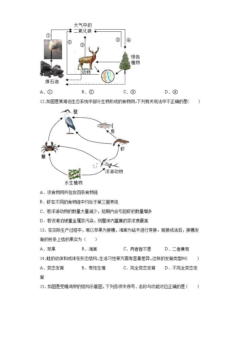 辽宁省沈阳市和平区2021-2022学年八年级上学期期末生物试题（word版 含答案）第3页