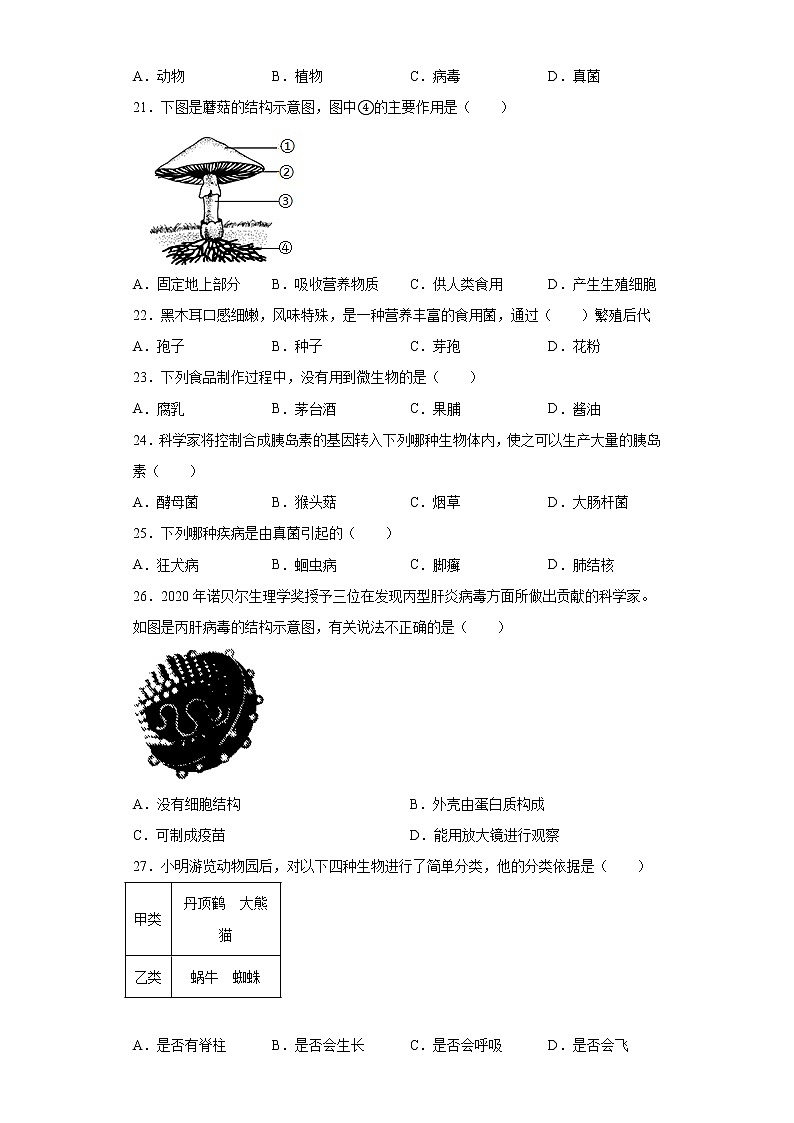 陕西省咸阳市泾阳县2020-2021学年八年级上学期期末生物试题（word版 含答案）第3页
