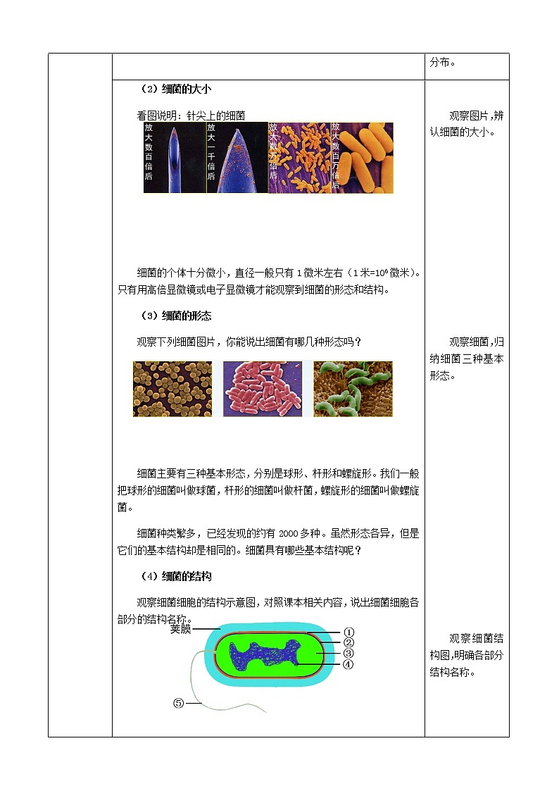苏科版七下生物 13.2土壤里的微生物教案(2)第3页