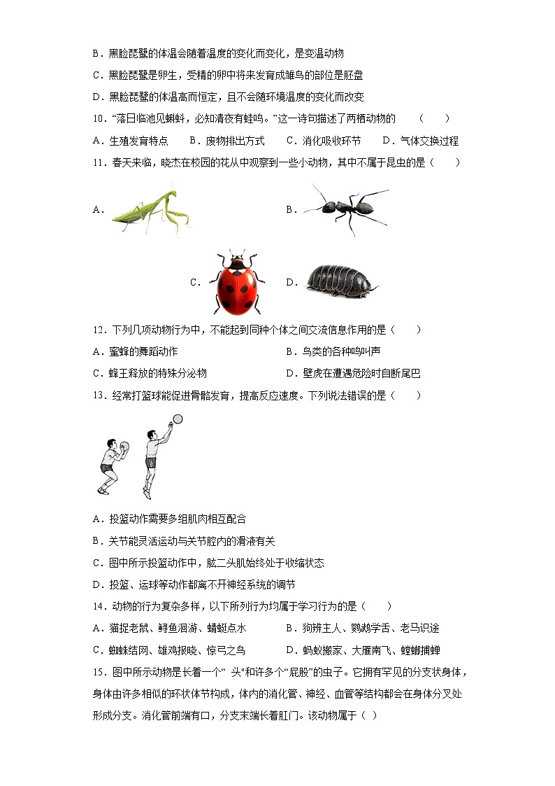山东省东营市2021-2022学年八年级上学期期中生物试题（word版 含答案）第3页