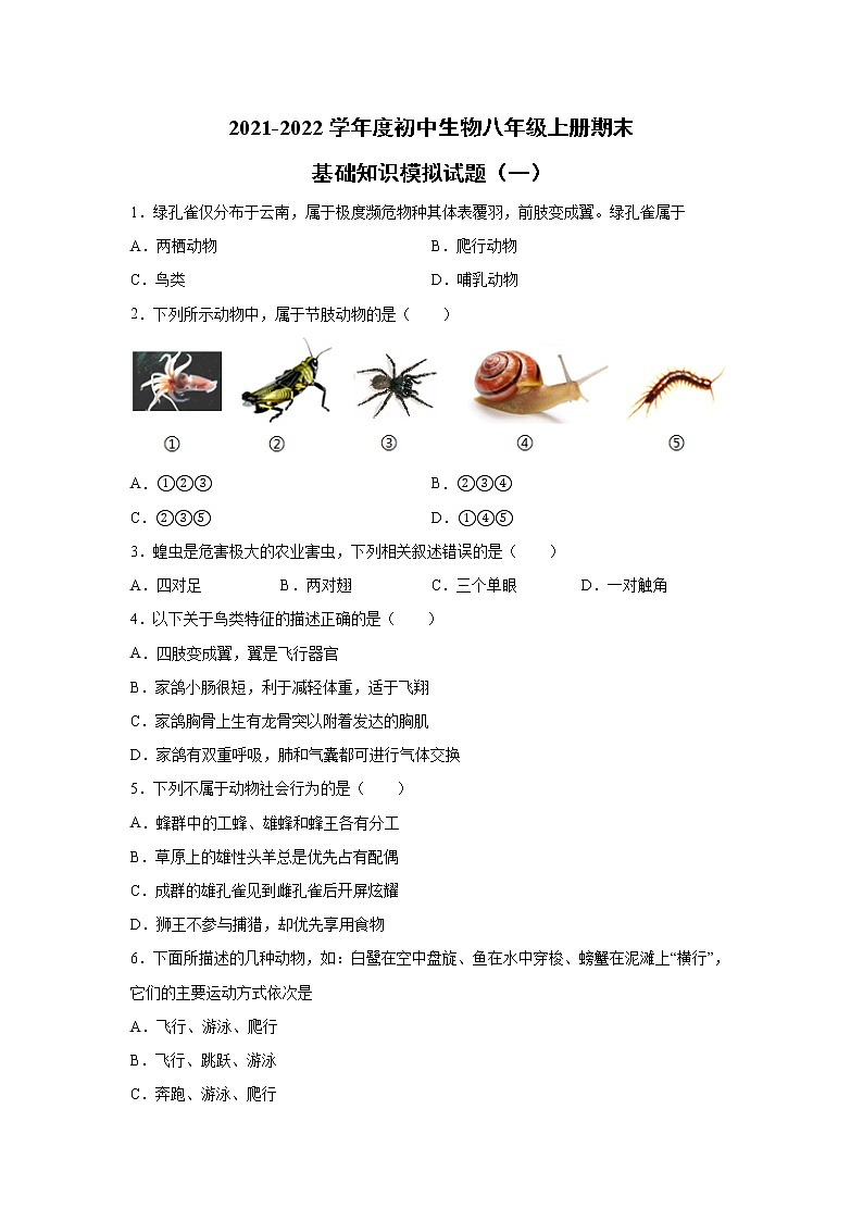 2021-2022学年人教版初中生物八年级上册期末基础知识模拟试题（一）（word版 含答案）第1页