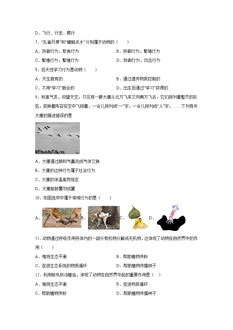 2021-2022学年人教版初中生物八年级上册期末基础知识模拟试题（一）（word版 含答案）第2页