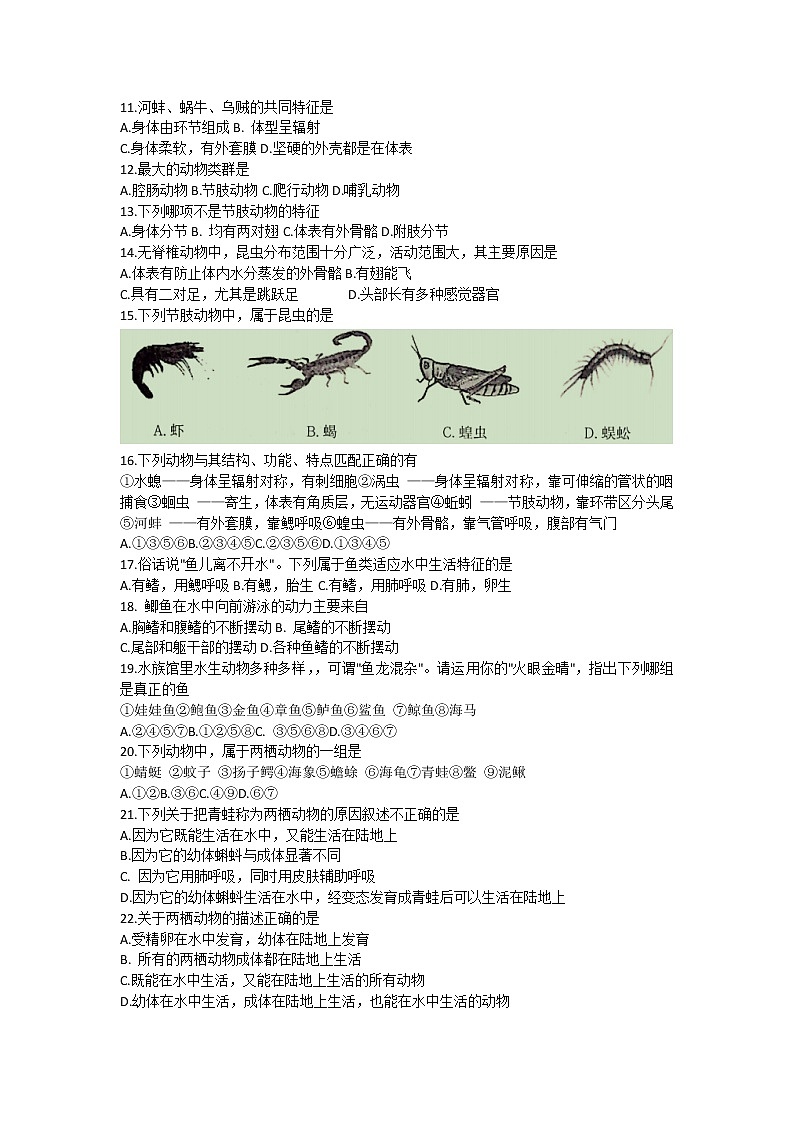 云南省昭通市昭阳区2021-2022学年八年级上学期期中综合素养评价生物试题（word版 含答案）02