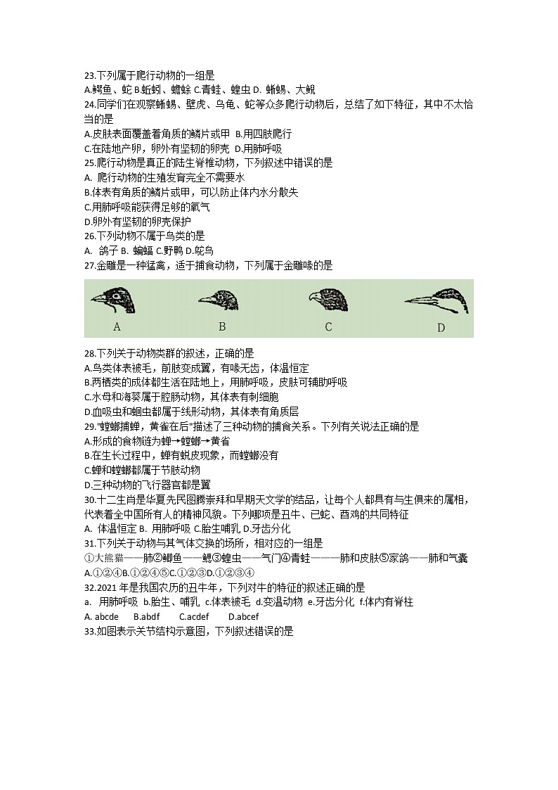 云南省昭通市昭阳区2021-2022学年八年级上学期期中综合素养评价生物试题（word版 含答案）03
