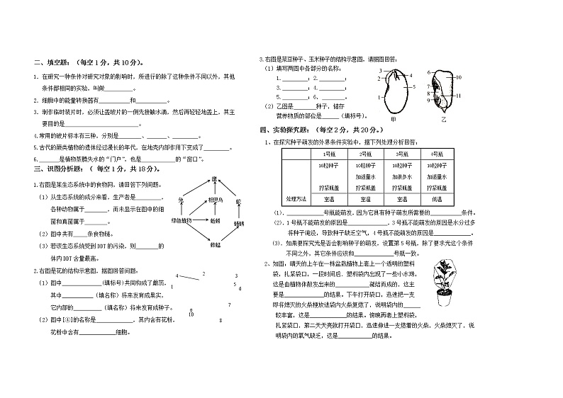 黑龙江省双鸭山市集贤县2021-2022学年七年级上学期期末模拟生物试题（六）（word版 含答案）第2页