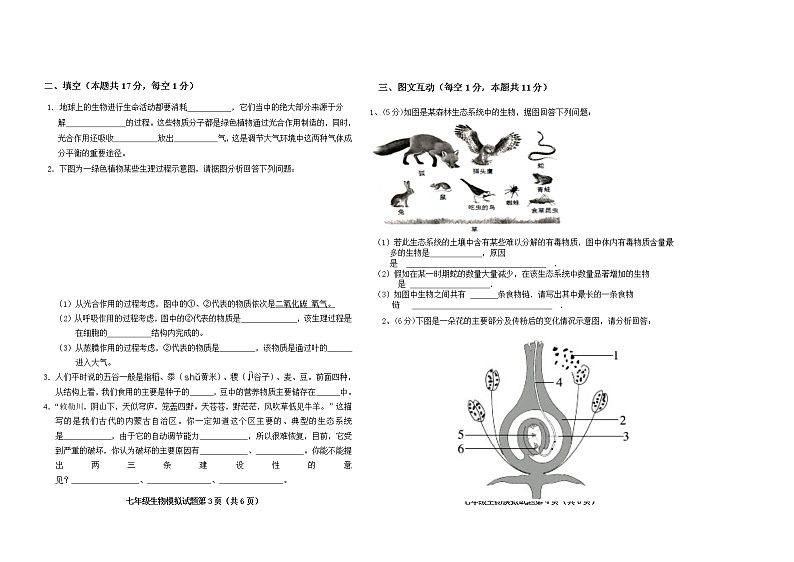 黑龙江省双鸭山市集贤县2021-2022学年七年级上学期期末模拟生物试题（四）（word版 含答案）第2页