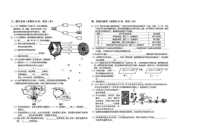 黑龙江省双鸭山市集贤县2021-2022学年七年级上学期期末模拟生物试题（十）（word版 含答案）第2页