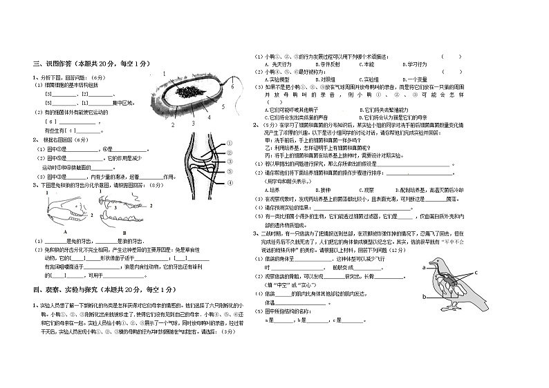黑龙江省双鸭山市集贤县2021-2022学年八年级上学期期末模拟生物试题（十）（word版 含答案）第2页