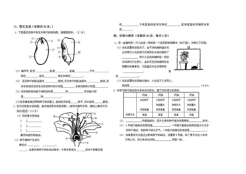 黑龙江省双鸭山市集贤县2021-2022学年七年级上学期期末模拟生物试题（七）（word版 含答案）第2页