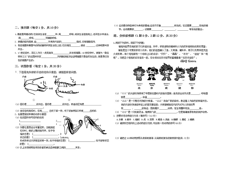 黑龙江省双鸭山市集贤县2021-2022学年八年级上学期期末模拟生物试题（八）（word版 含答案）第2页