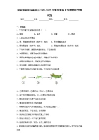 河南省南阳市南召县2021-2022学年八年级上学期期中生物试题（word版 含答案）