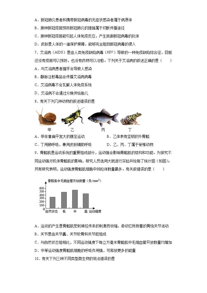 河南省南阳市南召县2021-2022学年八年级上学期期中生物试题（word版 含答案）02
