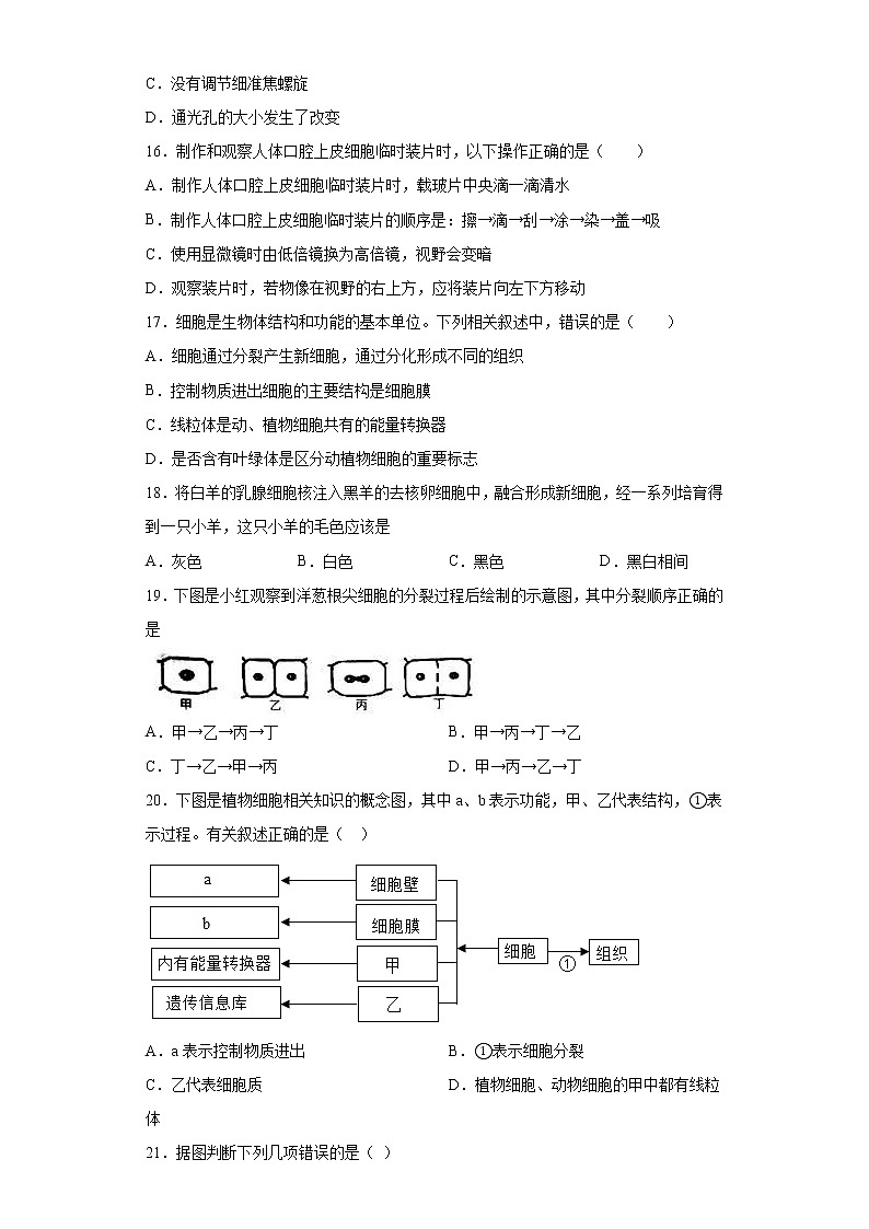 广西柳州市融水县2021-2022学年七年级上学期期中质量检测生物试题（word版 含答案）03